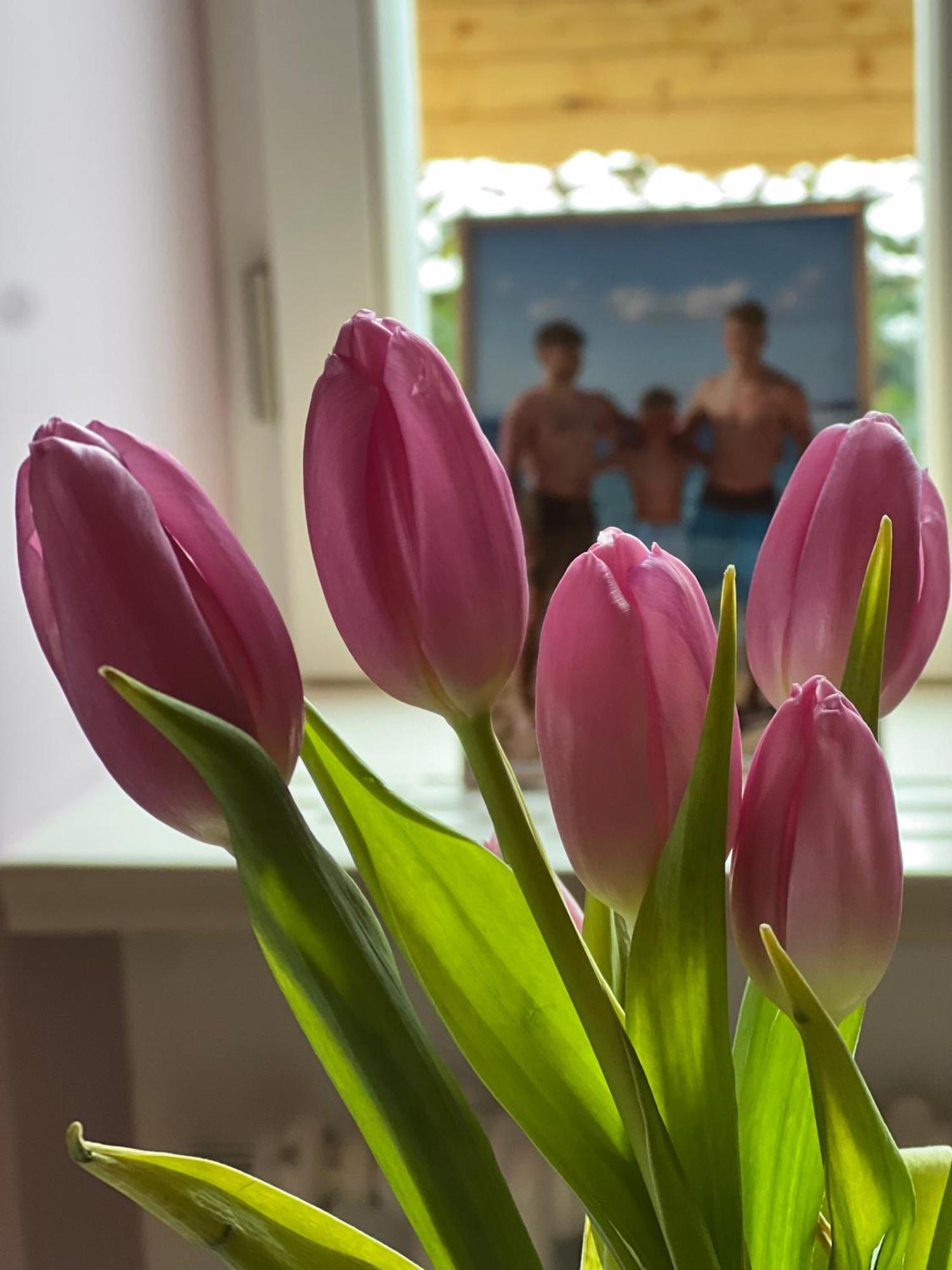 Vila Alice Bled - Adults Only Екстер'єр фото