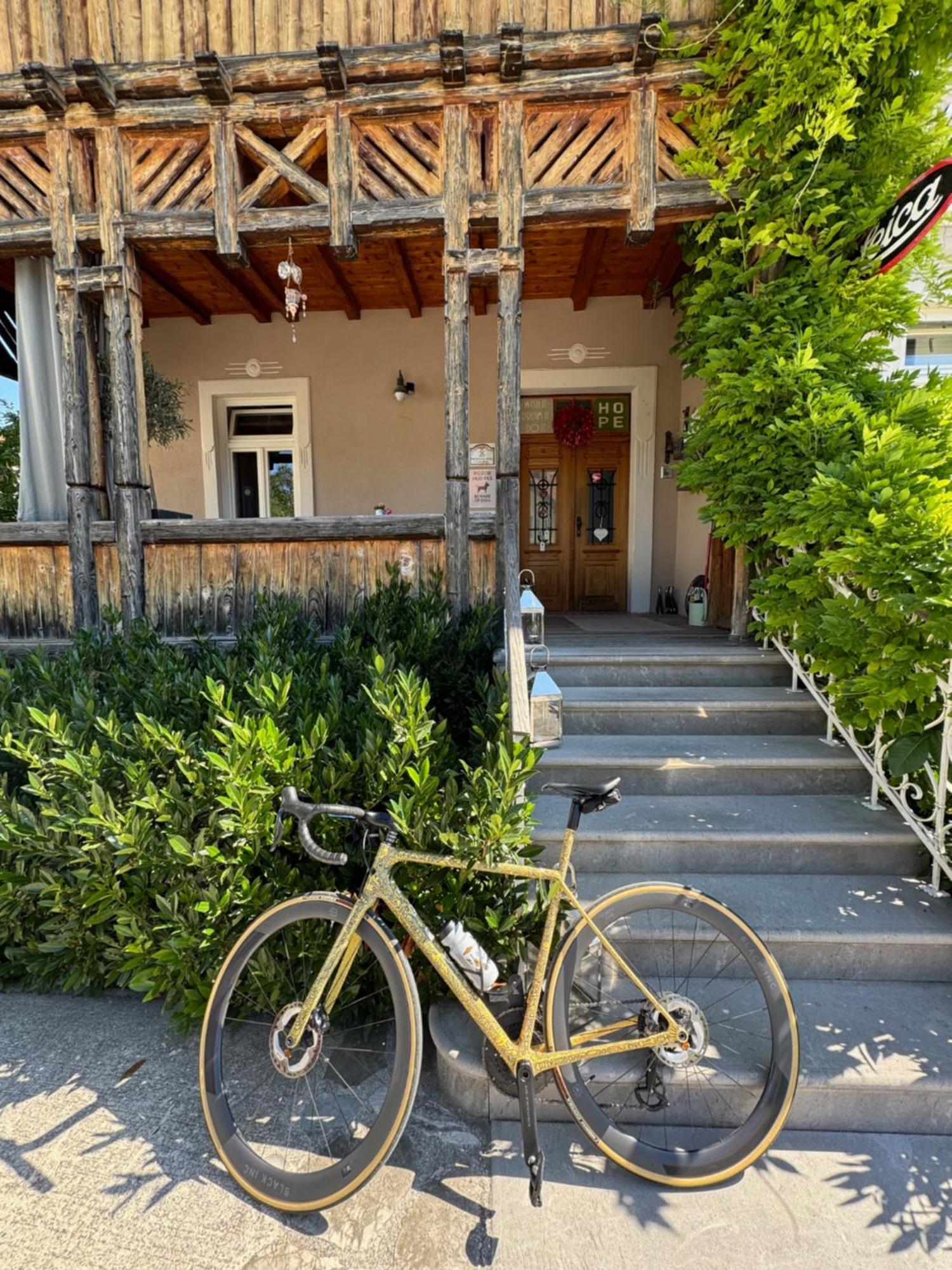 Vila Alice Bled - Adults Only Екстер'єр фото