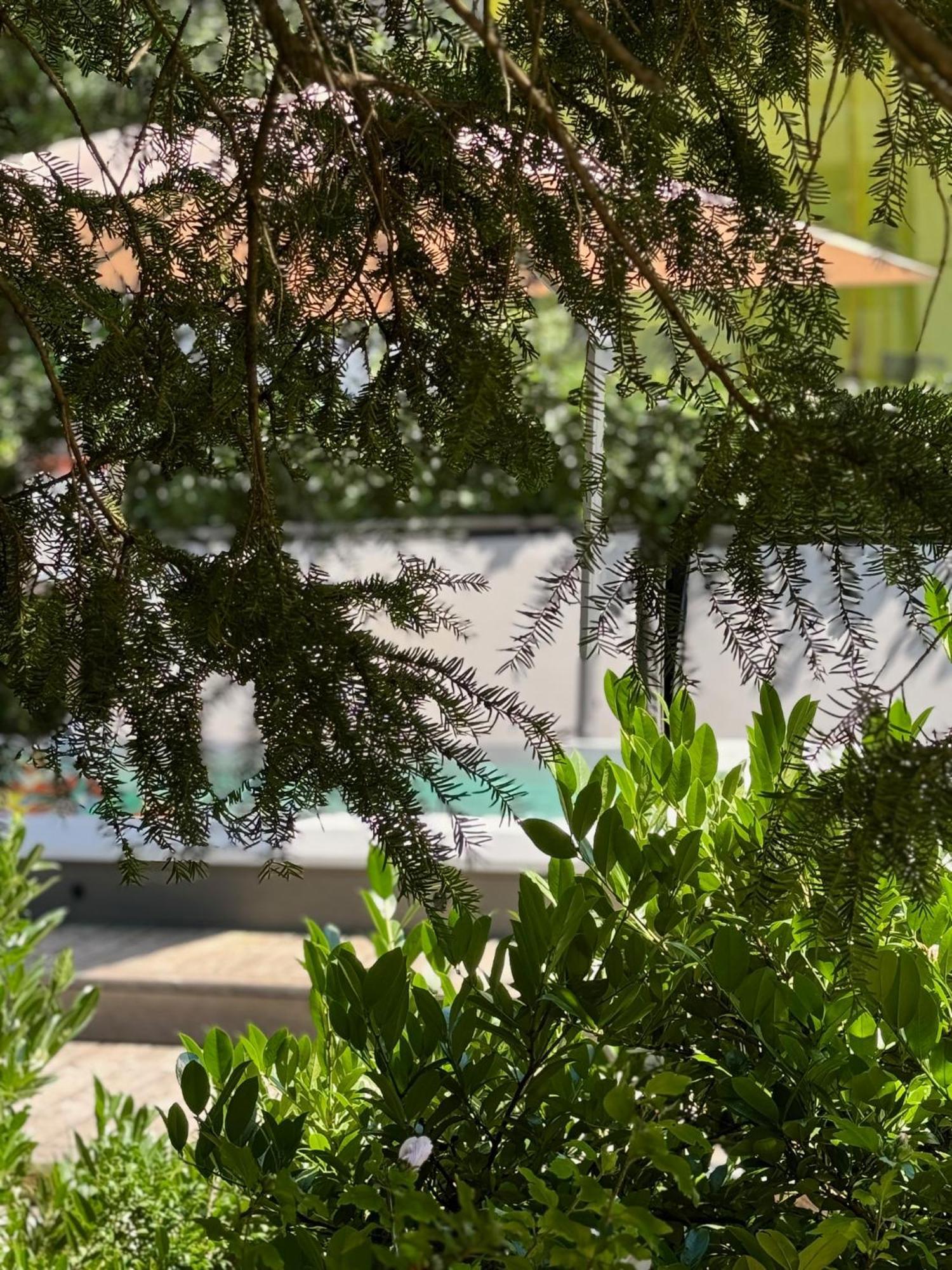 Vila Alice Bled - Adults Only Екстер'єр фото